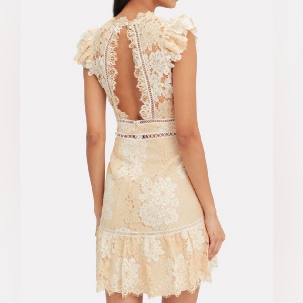 Saylor Kelly Lace Mini Dress - Picture 10 of 10